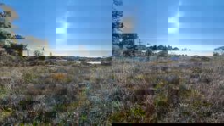 Istra, Pula - gradbeno zemljišče 810 m² na mirni lokaciji