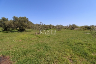 Zadar, Turanj - Privlačno urejeno gradbeno zemljišče 