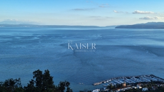 Kmetijsko zemljišče Veprinac, Opatija - Okolica, 12.685m2