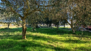 Istra, Pula - gradbeno zemljišče 586m² z odlično infrastrukturo