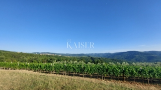 Istra, območje Buzeta - kmetijsko zemljišče 2,4 ha, možnost gradnje