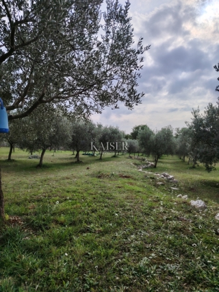 Kmetijsko zemljišče Vodnjan, 2.126m2