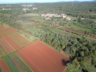 Kmetijsko zemljište