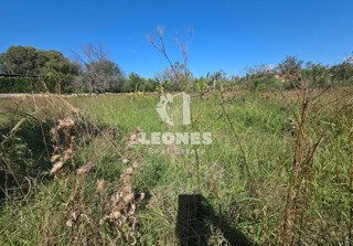 Gradbeno zemljišče v bližini Buja