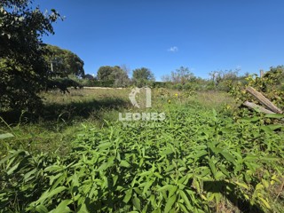 Gradbeno zemljišče v bližini Buja