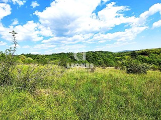 Kmetijsko zemljišče v bližini Umaga