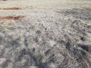 Labin. Kmetijsko zemljišče v izmeri 5.500 m2.