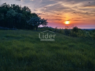 Zemljišče Buje, 1765m2