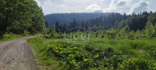 Zemljišče Fužine, 22378m2