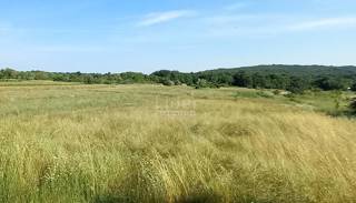 Zemljišče Rovinjsko Selo, 5234m2