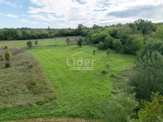 Zemljišče Kirmenjak, 4527m2
