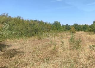 Zemljišče Manjadvorci, 1050m2