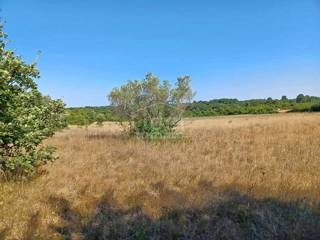 Zemljišče Cukrići, 12900m2