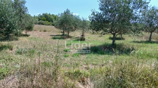 Zemljišče Rovinj, 12786m2