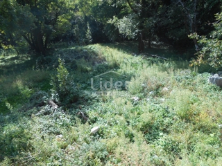 Zemljišče Grižane-Belgrad, 1126m2