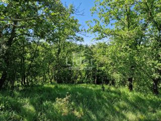 Zemljišče Stranići kod Lovreča, 13686m2