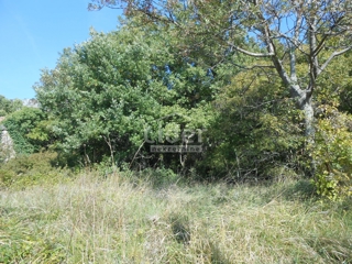 Zemljišče Bribir, 656m2