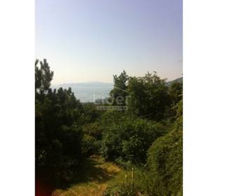 Zemljišče Veprinac, 1254m2