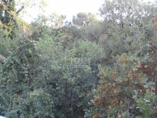 Zemljišče Rožmanići, 1651m2