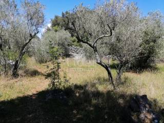 Zemljišče Krk, 1827m2