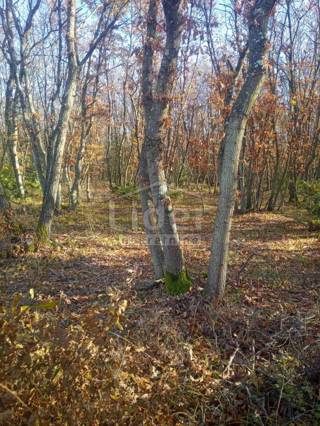 Zemljišče Vodnjan, 68000m2