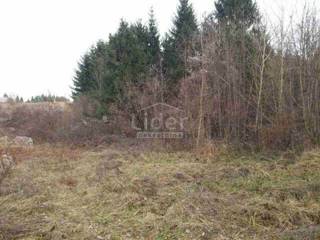 Zemljišče Hambarište, 10000m2