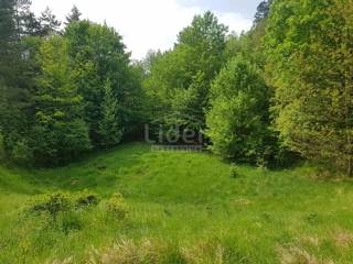 Zemljišče Šapjane, 5755m2