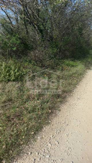 Zemljišče Bibići, 7028m2