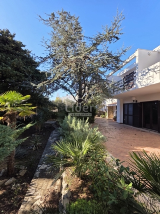 Hiša Novalja, 372m2