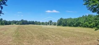 Zemljišče Zabrežani, 20000m2