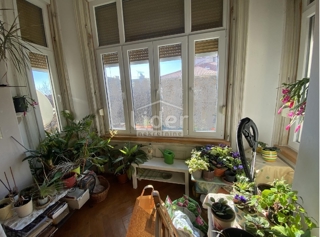 Stanovanje Belveder, 159m2