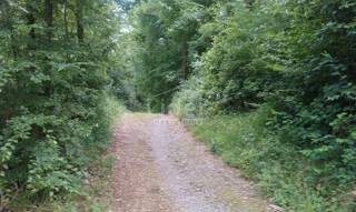 Zemljišče Ika, 2800m2