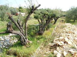 Zemljišče Juršići, 2450m2