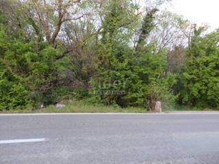 Zemljišče Paveki, 2799m2