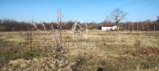 Zemljišče Kranjčići, Svetvinčenat, 27.300m2