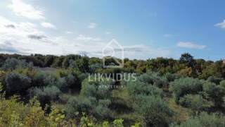 Zemljišče Bale, 1.928m2