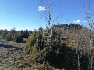 Zemljišče Kanfanar, 46.093m2