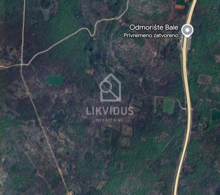 Bale, 42.074 m², kmetijsko zemljišče, v naravi gozd