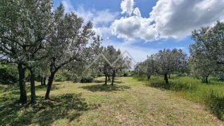 Območje Pulja, zazidljivo zemljišče s pogledom na morje