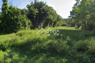 Okolica Barbana, gradbena parcela s projektom
