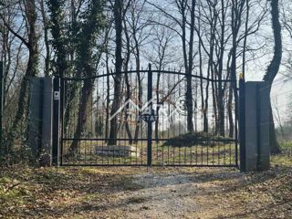 Umag – ograjena gozdna parcela 3.660 m² z vodnim priključkom na parceli, le 5 km od morja