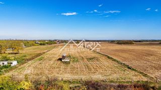 Zemljišče Bilje, 16.690m2