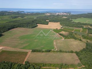 Zemljišče Poreč, 14.824m2