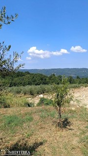 Zazidljivo zemljišče v Vižinadi, Istra