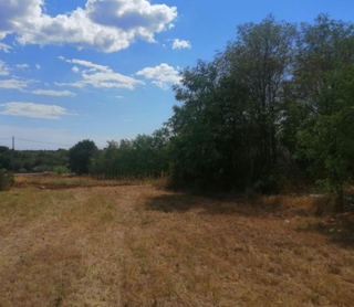 Žbandaj, Poreč, 3.040m2