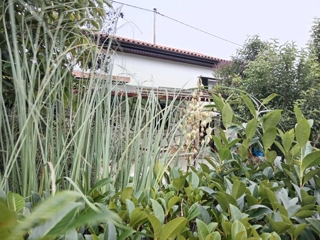 Savudrija, Umag, 163m2