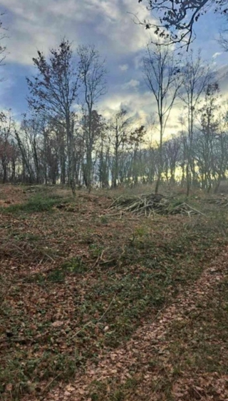 Kringa, Tinjan, 1.150m2