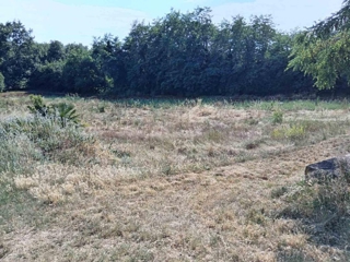 Materada, Umag, 773m2