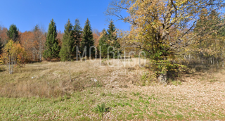 Zemljišče Stari Laz, Ravna Gora, 1.104m2