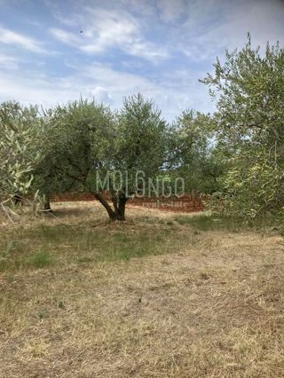 Zemljišče Kaštelir, Kaštelir-Labinci, 1.277m2